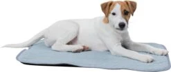 Trixie Junior Ligmat Fresh Lichtblauw - 60X50 CM -Honden Huis Winkel 1200x512