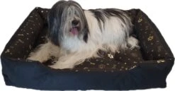 Beste Prijs - Hondenmand Met 2 Kussentjes - 100 Cm X 70 Cm - Dierenmand - Hondenbed - Waterproof - Anti Allergisch -Honden Huis Winkel 1200x626 9