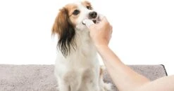 Trixie Verzorgingsvinger - 50 Stuks -Honden Huis Winkel 1200x630 1