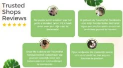 TraumaPet Tandpasta Met Colloïdaal Zilver Voor Dieren | Met Vleessmaak | Bij Stinkende Adem | Tandplak | Geïrriteerd Tandvlees | Tandsteen -Honden Huis Winkel 1200x666 1