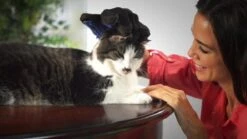 Vacht Verzorgingsborstel Voor Huisdieren - Blauw - LimitedDeals - Voor Honden Katten Konijnen Paarden - Tevens Massage Handschoen Voor Dieren! - Goed Voor De Verzorging Van De Vacht -Honden Huis Winkel 1200x674