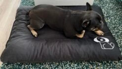 Hondenkussen XL - Donkergrijs - 60 X 90 X 12 15 Hondenkussen XL - Donkergrijs - 60 X 90 X 12 -Honden Huis Winkel 1200x685 1