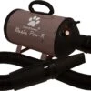 Tools-2-Groom Waterblazer Basic Paw-R 2200 Watt