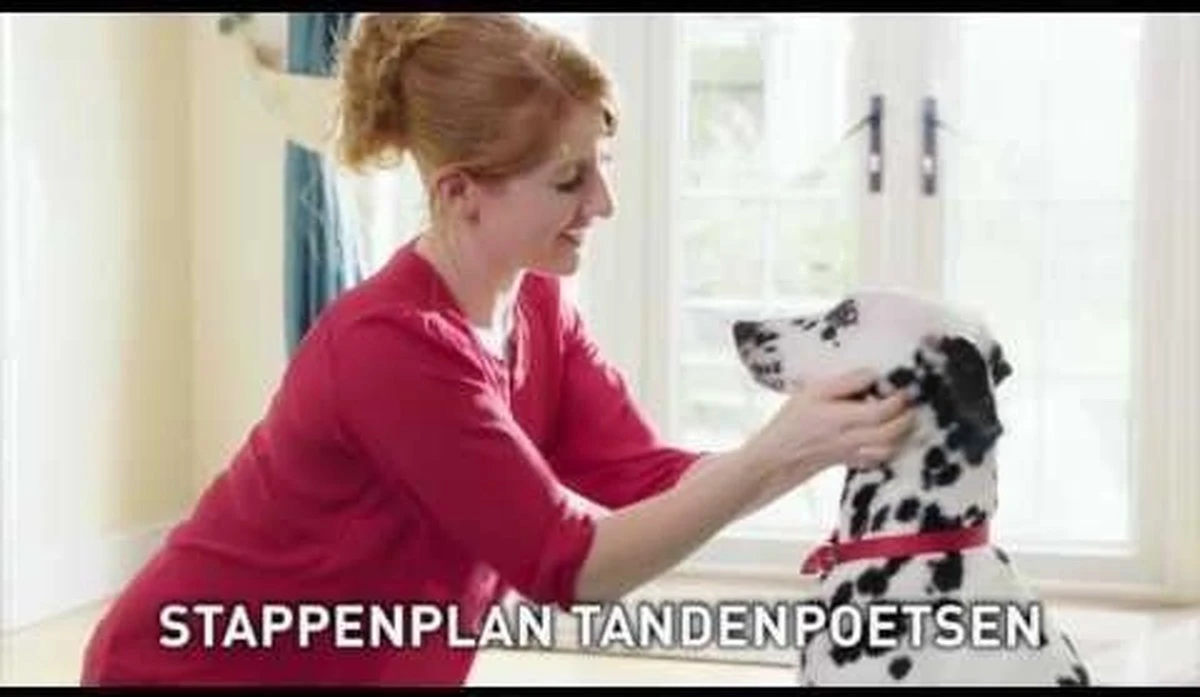 Beaphar Tandenborstel 5 Beaphar Tandenborstel - Afbeelding 5