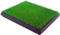 Merkloos Maoo Premium Hondentoilet - Geurbestendig & Hondvriendelijk Kunstgras - Uitneembare Opvangbak - Indoor En Outdoor - 63 X 50 Cm -Honden Huis Winkel 1200x698