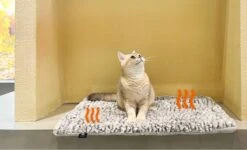 Merkloos Zelfverwarmende Dierendeken Zonder Stroom Thermo Deken Hond Kat Inclusief Adreslabel 70 X 47 Cm -Honden Huis Winkel 1200x730 1