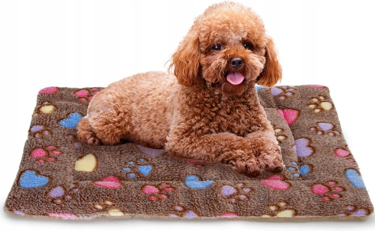 Nobleza Benchkussen - Dierenkussen - Hondenkussen - Kattenkussen - Benchmat - Dierenmat - Hondenmat - Kattenmat - Bruin - Maat S 1 Nobleza Benchkussen - Dierenkussen - Hondenkussen - Kattenkussen - Benchmat - Dierenmat - Hondenmat - Kattenmat - Bruin - Maat S