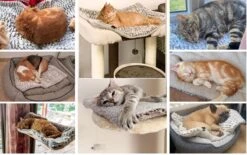 Merkloos Zelfverwarmende Dierendeken Zonder Stroom Thermo Deken Hond Kat Inclusief Adreslabel 70 X 47 Cm -Honden Huis Winkel 1200x751 3