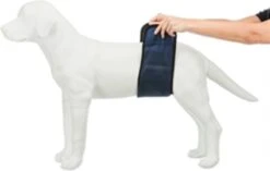 Trixie Plasband Voor Reuen Blauw S 29/37cm -Honden Huis Winkel 1200x762 1