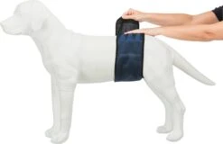 Trixie Plasband Voor Reuen Blauw S 29/37cm -Honden Huis Winkel 1200x775
