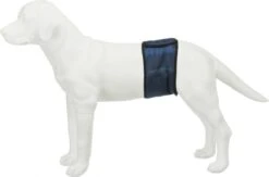 Trixie Plasband Voor Reuen Blauw M 37/45cm -Honden Huis Winkel 1200x790 5