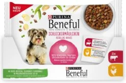 Beneful Pouch - Hondenvoer Kip & Rund In Saus - 40 X 100 G -Honden Huis Winkel 1200x796