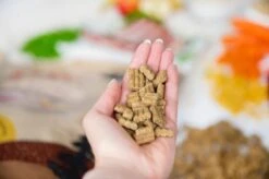 Kivo Petfood PROEFZAKJE Hondenbrokken Lam & Rijst 300 Gram - Koudgeperst - Glutenvrij -Honden Huis Winkel 1200x799 10