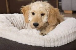 Scruffs Ellen Donut - Warme Hondenmand Van Imitatiebont - Kleur Grijs, Roze Of Bruin - Maat M Of L - Kleur: Grijs, Maat: Medium -Honden Huis Winkel 1200x799 22