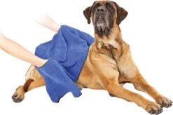 Dierenhanddoek Microvezel - Honden En Katten - Incl. Handvatten - 40x60 Cm - Blauw 6 Dierenhanddoek Microvezel - Honden En Katten - Incl. Handvatten - 40x60 Cm - Blauw -Honden Huis Winkel 1200x799 4