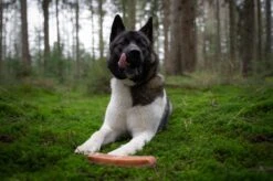 The Original Himalayan Yak Kauwbot Large Puur Fit -Honden Huis Winkel 1200x799 8