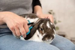 Trixie Gezicht- En Potenschaar Kunststof / Rvs 8 Cm -Honden Huis Winkel 1200x800 12