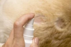 Petoxil Pet Spray Met Colloïdaal Zilver Is Speciaal Ontworpen Voor Gebruik Op Alle (huis) Dierensoorten. Revolutionair In Hygiëne -Honden Huis Winkel 1200x800 16