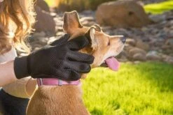 Merkloos Vachtverzorgingshandschoen -Honden Huis Winkel 1200x800 2