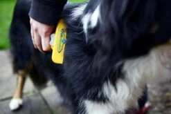 Furminator® Hond Langhaar - Vermindert Haaruitval Tot 90% - Hondenborstel - L -Honden Huis Winkel 1200x800 5