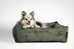 Lex & Max Chicago - Hondenmand - 80x65cm - Groen -Honden Huis Winkel 1200x800 51