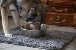 Royal Dry Absorberende Anti-knoeimat Voor Honden – Trekt Vuil Als Een Spons – Laat Geen Vocht Door – 61x45 Cm – Microfiber Chenille – Geschikt Voor Honden En Overige Huisdieren -Honden Huis Winkel 1200x800 54