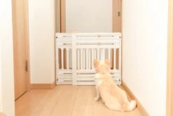 Iris Ohyama Huisdier Bariere PBR-600 - Kunststof - Wit/Beige - Uitschuifbaar -Honden Huis Winkel 1200x800 60