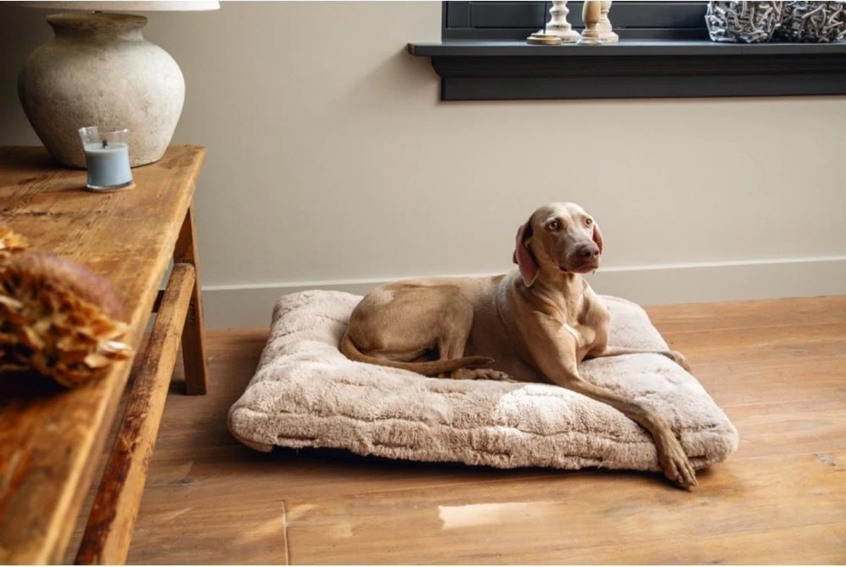 Designed By Lotte Hondenkussen Pluche Xanti Beige 100 X 68 X 5 Cm 2 Designed By Lotte Hondenkussen Pluche Xanti Beige 100 X 68 X 5 Cm - Afbeelding 2