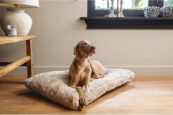 Designed By Lotte Hondenkussen Pluche Xanti Beige 100 X 68 X 5 Cm 6 Designed By Lotte Hondenkussen Pluche Xanti Beige 100 X 68 X 5 Cm -Honden Huis Winkel 1200x804 3