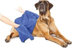 Duvo+ Hondenhanddoek 70 X 100 Cm -Honden Huis Winkel 1200x808