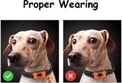 Merkloos Anti Blafband Voor Honden Blafband Anti Blaf Apparaat Blafband Zonder Schok - Diervriendelijk 12 Merkloos Anti Blafband Voor Honden Blafband Anti Blaf Apparaat Blafband Zonder Schok - Diervriendelijk -Honden Huis Winkel 1200x822