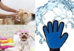 Vacht Verzorgingsborstel Voor Huisdieren - Blauw - LimitedDeals - Voor Honden Katten Konijnen Paarden - Tevens Massage Handschoen Voor Dieren! - Goed Voor De Verzorging Van De Vacht -Honden Huis Winkel 1200x825