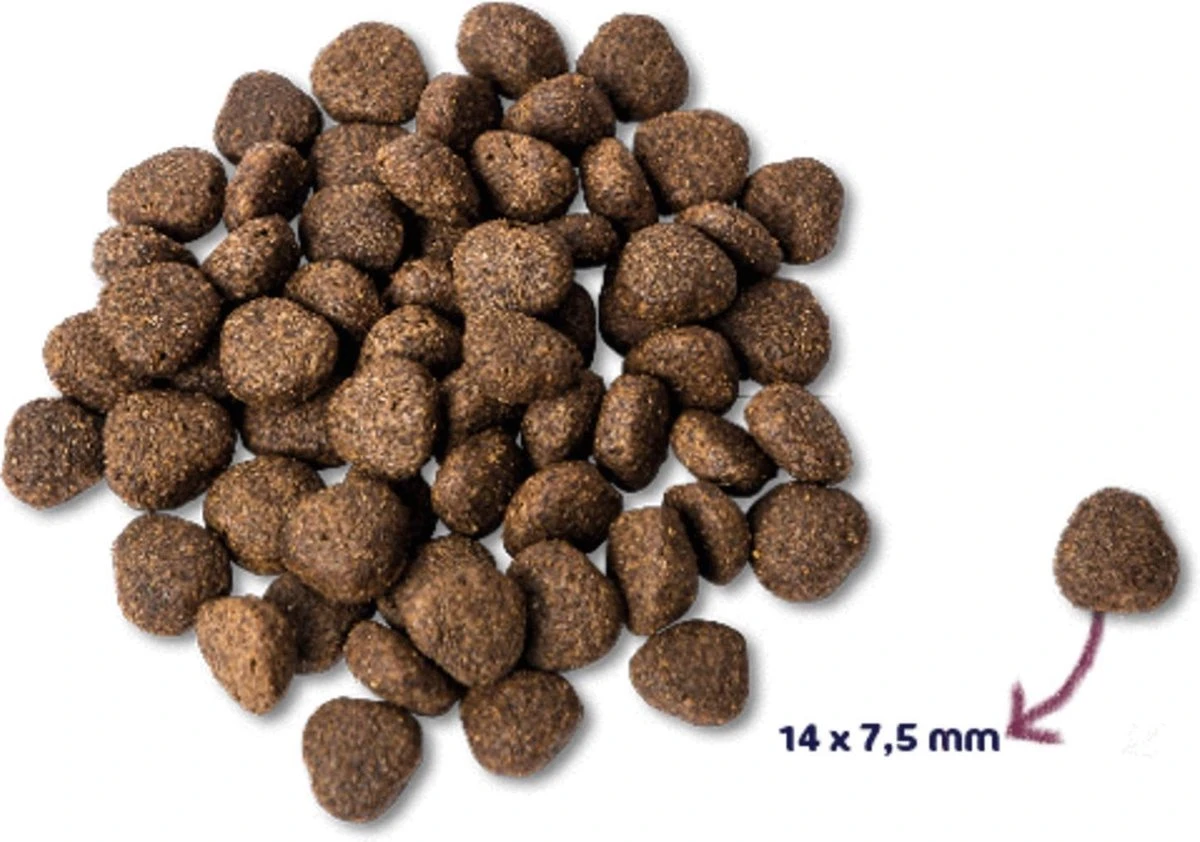 Renske Adult Zalm Graanvrij - Hondenvoer - 2 Kg 2 Renske Adult Zalm Graanvrij - Hondenvoer - 2 Kg - Afbeelding 2