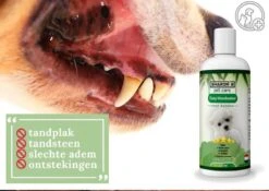 Easy Mondwater Voor Honden - 237 Ml - Tegen Stinkende Adem - Tandplak - Tandsteen - Tandvleesproblemen -Honden Huis Winkel 1200x852 6