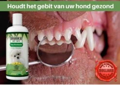Easy Mondwater Voor Honden - 237 Ml - Tegen Stinkende Adem - Tandplak - Tandsteen - Tandvleesproblemen -Honden Huis Winkel 1200x852 7