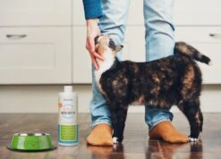 OxyFresh Pet Mondwater Hond En Kat. Helpt Tegen Tandsteen, Plak En Vieze Ademgeurtjes 7 OxyFresh Pet Mondwater Hond En Kat. Helpt Tegen Tandsteen, Plak En Vieze Ademgeurtjes -Honden Huis Winkel 1200x864 3