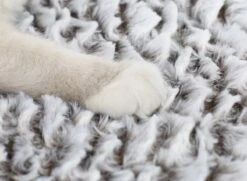 Merkloos Zelfverwarmende Dierendeken Zonder Stroom Thermo Deken Hond Kat Inclusief Adreslabel 70 X 47 Cm -Honden Huis Winkel 1200x878