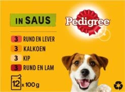 Pedigree Adult Honden Natvoer - Vlees & Gevogelte In Saus - 48 X 100g -Honden Huis Winkel 1200x884 1