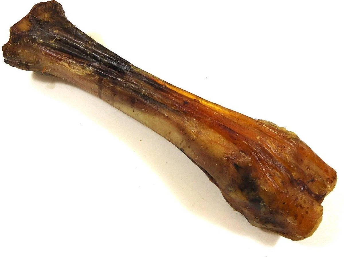 Runderbot XL 5 Stuks - Gedroogde Kauwbotten - Hondenbotten Hondensnacks Van De Snackmeester 100% Natuurlijk Natural Naturel 1 Runderbot XL 5 Stuks - Gedroogde Kauwbotten - Hondenbotten Hondensnacks Van De Snackmeester 100% Natuurlijk Natural Naturel