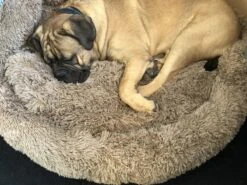 HONDEN RELAX Kussen - Superzacht Fluffy Ronde Mand 100 Cm - Taupe/Zandkleur -Honden Huis Winkel 1200x899 9