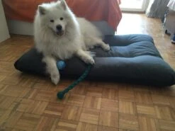 Hondenkussen XL - Donkergrijs - 60 X 90 X 12 14 Hondenkussen XL - Donkergrijs - 60 X 90 X 12 -Honden Huis Winkel 1200x900 19