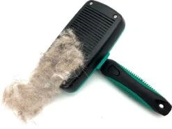 ElegaPet Hondenborstel Groen - Hondenhaar Verwijderen - Kat En Hondenkam - Slickerborstel Hond En Kat - Groomer - Ondervacht Kam Hond - Borstel Hond - Hondenborstel Langharig En Kortharig - Slickerborstel - Anti Klit/Knopen/Huidschilfers -Honden Huis Winkel 1200x902