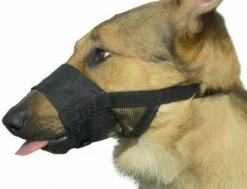 Beeztees Comfort Muilband - Hond - M - 15-20 Cm 8 Beeztees Comfort Muilband - Hond - M - 15-20 Cm -Honden Huis Winkel 1200x918