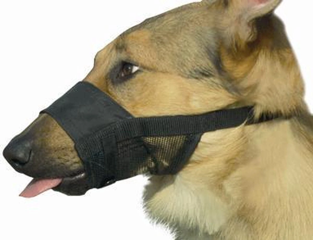 Beeztees Comfort Muilband - Hond - M - 15-20 Cm 4 Beeztees Comfort Muilband - Hond - M - 15-20 Cm - Afbeelding 4