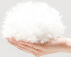 BEESSIES® Donut Hondenmand/hondenkussen 120 Cm - Wasbare Hoes - Zwart - Hond Kussen Mand 9 BEESSIES® Donut Hondenmand/hondenkussen 120 Cm - Wasbare Hoes - Zwart - Hond Kussen Mand -Honden Huis Winkel 1200x963 1