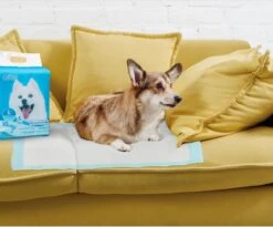 Nobleza 48LXB - Puppy Training Pads - 60 X 90 Cm - Zindelijkheidstraining - 100 Stuks 12 Nobleza 48LXB - Puppy Training Pads - 60 X 90 Cm - Zindelijkheidstraining - 100 Stuks -Honden Huis Winkel 1200x997 2