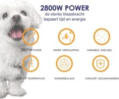 Forgoods Professionele Hondenfohn - Waterblazer Voor Honden - Hondenfohn Met 4 Opzetstukken - 2800W Verstelbaar Vermogen - Roze -Honden Huis Winkel 1200x997