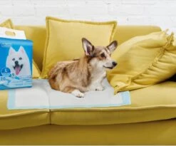 Nobleza 48LXE - Puppy Training Pads - 60 X 90 Cm - Zindelijkheidstraining - 120 Stuks -Honden Huis Winkel 1200x997 3