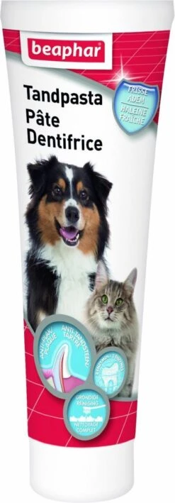 Beaphar Tandpasta - 100 Gr -Honden Huis Winkel 418x1200 1