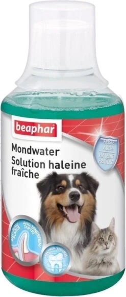 Beaphar Mondwater - 250 Ml -Honden Huis Winkel 509x1200